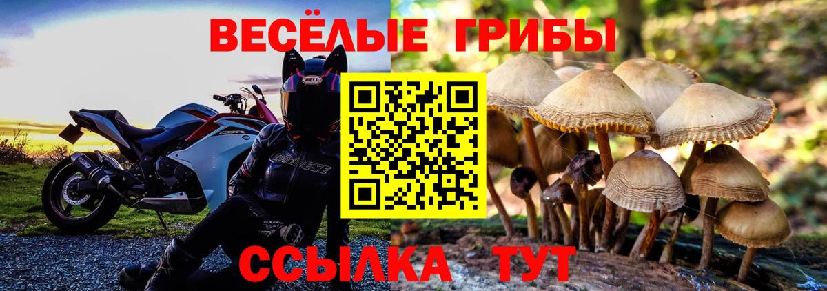 Сафоново  Псилоцибиновые грибы MAGIC MUSHROOMS  Галлюциногенные грибы мухоморы  Вход с VPN 